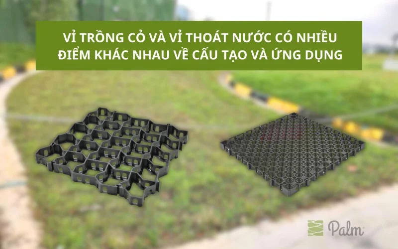Vỉ Trồng Cỏ Chịu Lực | Tất Tần Tật Về Lợi Ích, Ứng Dụng Và Cách Lắp Đặt